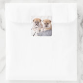 柴犬の子犬をアルミタブに スクエアシール (バッグ)