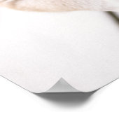 柴犬の子犬をアルミタブに ポスター (角)