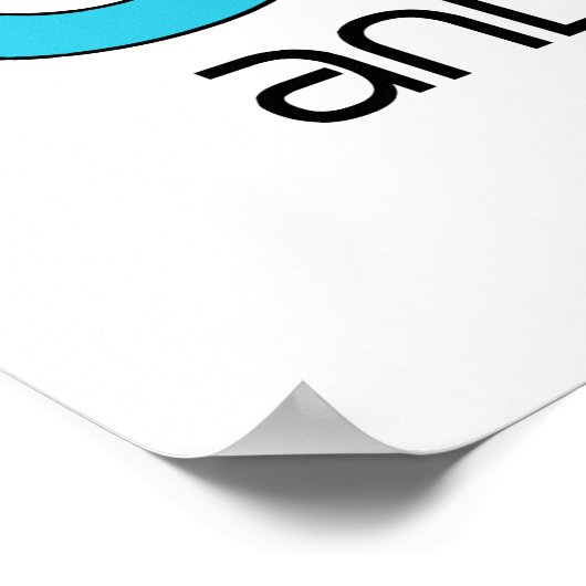 柴犬を救った ポスター (角)