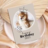 柴犬インスパイア誕生日カード カード