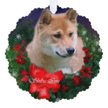 柴犬クリスマスプレゼント