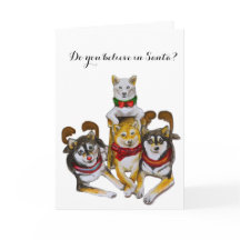 柴犬シスターズキッコーサーシャモモモヒナ