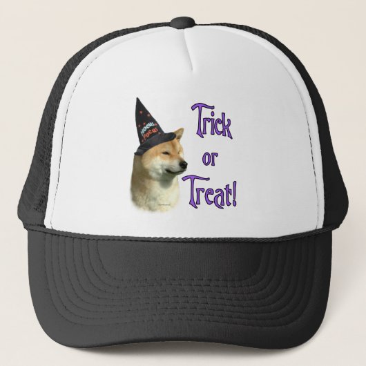 柴犬トリック キャップ (正面)