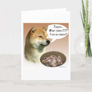柴犬トルコ カード