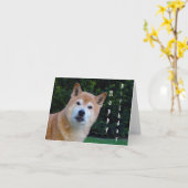 柴犬ハッピーバースデー カード (黄色い花)