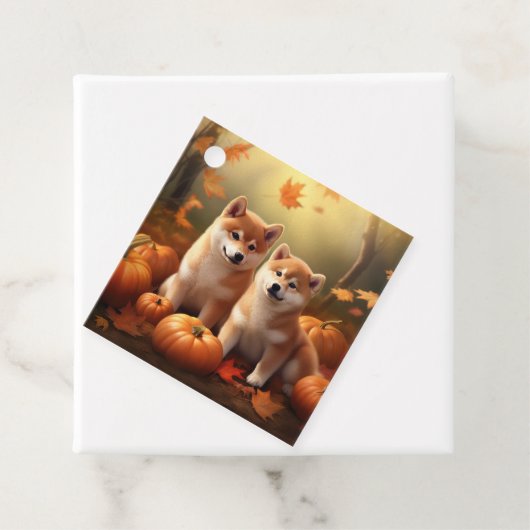 柴犬パピーオータムデライトカボチャ フェイバータグ (インサイチュ)