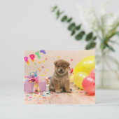 柴犬パーティー シーズンポストカード (スタンド正面)