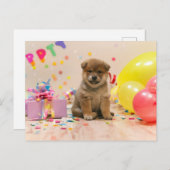 柴犬パーティー シーズンポストカード (正面/裏面)