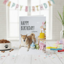 🐶柴犬ブリス🐶しっぽを振る誕生日