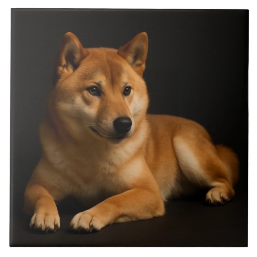 柴犬ポートレート – Shiba Inu Art タイル (正面)