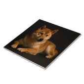 柴犬ポートレート – Shiba Inu Art タイル (側面)