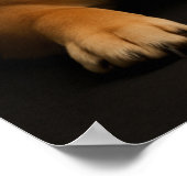 柴犬ポートレート Shiba Inu Art ポスター (角)