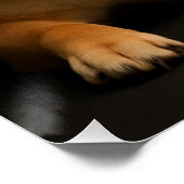 柴犬ポートレート – Shiba Inu Art Glossy ポスター (コーナー)