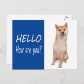 柴犬子犬グリーティングポストカード ポストカード (正面/裏面)
