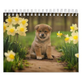 柴犬子犬 カレンダー (カバー)