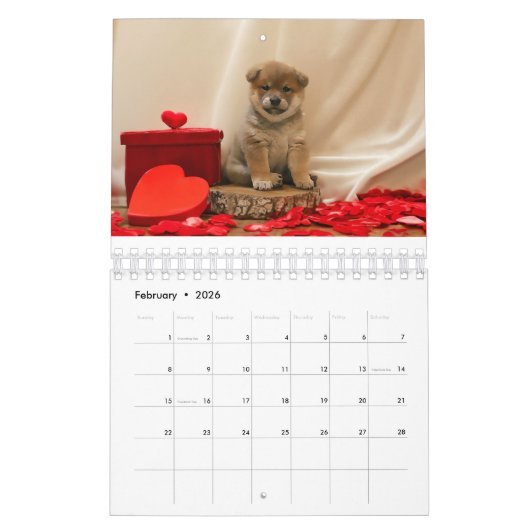柴犬子犬 カレンダー (2月 2026)
