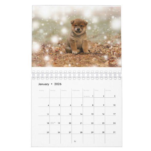 柴犬子犬 カレンダー (1月 2026)