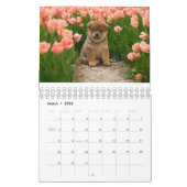 柴犬子犬 カレンダー (3月 2026)