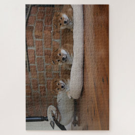 柴犬子犬 ジグソーパズル