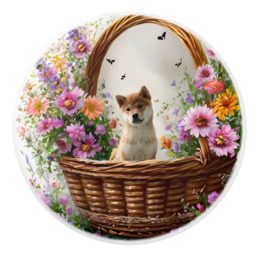 柴犬子犬 セラミックノブ (正面)