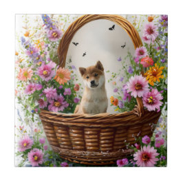 柴犬子犬 タイル