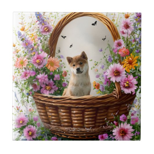 柴犬子犬 タイル (正面)