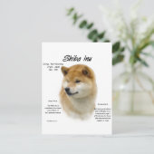 柴犬履歴 ポストカード (スタンド正面)