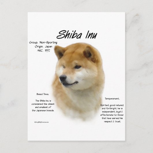 柴犬履歴 ポストカード (正面)