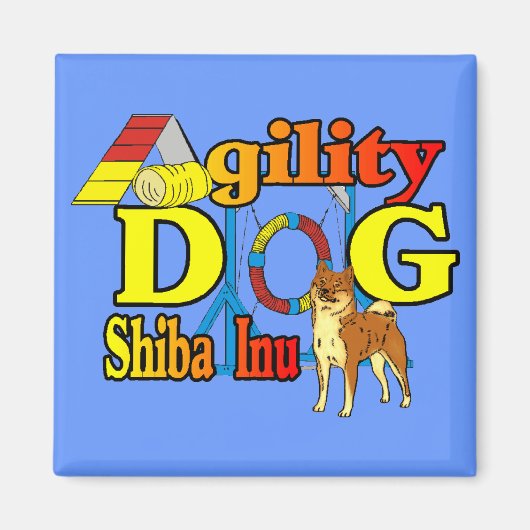 柴犬敏捷性 マグネット (正面)