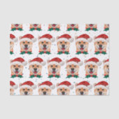 柴犬犬がクリスマススターを育てる 薄葉紙 (正面)