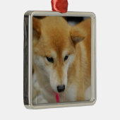 柴犬犬のオーナメント メタルオーナメント (右)