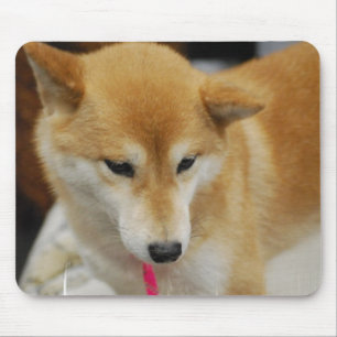 柴犬犬のマウスパッド マウスパッド