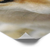 柴犬犬ポスター ポスター (角)