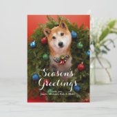 柴犬犬 (スタンド正面)