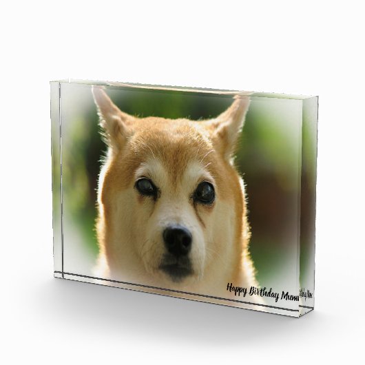 柴犬犬 フォトブロック (右)