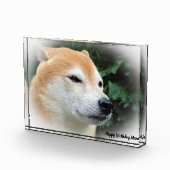 柴犬犬 フォトブロック (右)