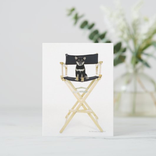 柴犬犬 ポストカード (スタンド正面)