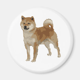 柴犬犬 マグネット