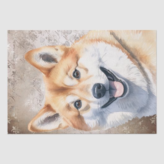 柴犬犬 薄葉紙 (正面)