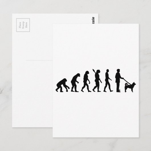 柴犬進化 ポストカード (正面/裏面)