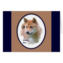 柴犬