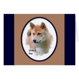 柴犬