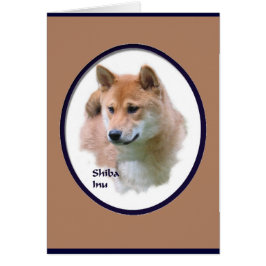 柴犬