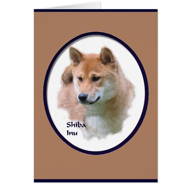 柴犬 (正面)