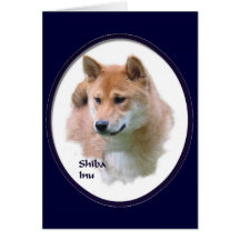 柴犬