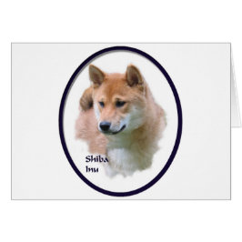 柴犬