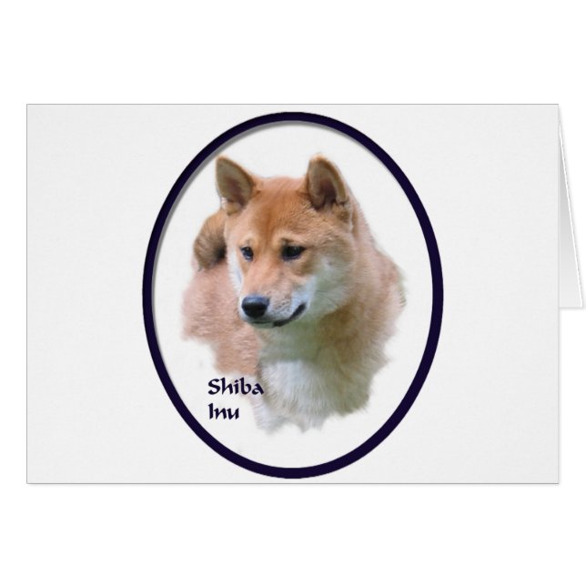 柴犬 (正面横)