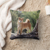 柴犬 クッション (ブランケット)