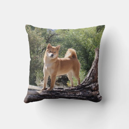 柴犬 クッション (裏面)