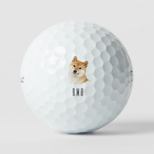 柴犬 ゴルフボール